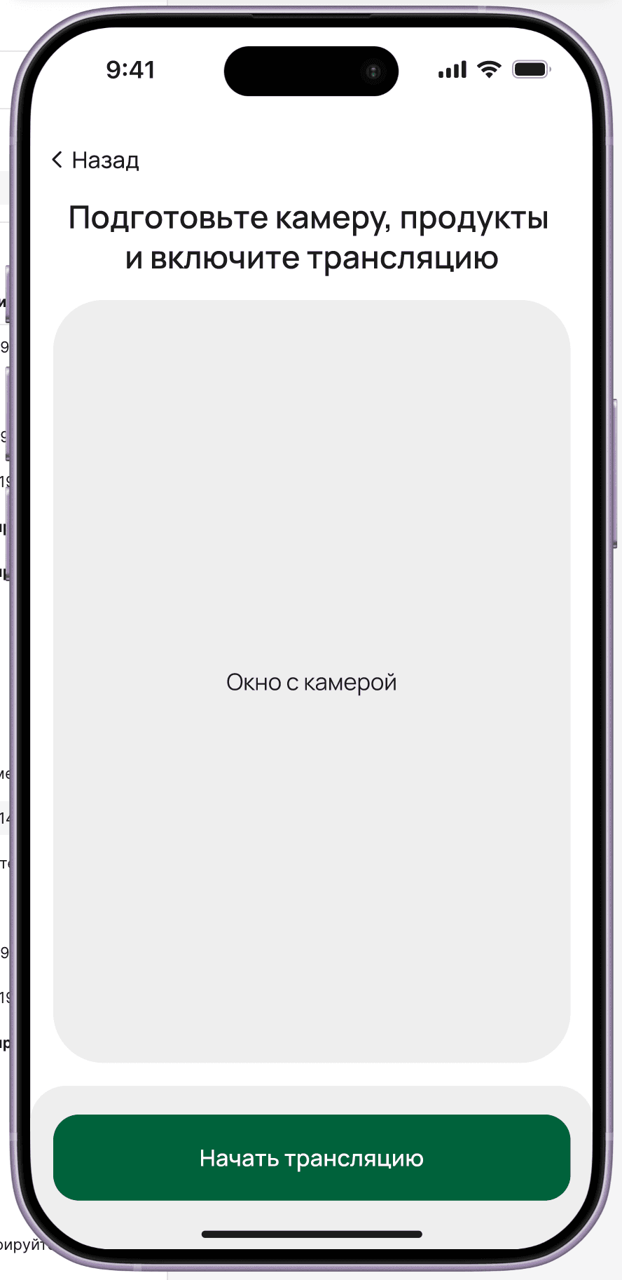 Camera stream — 'Prepare camera, products and start broadcast' with camera preview window