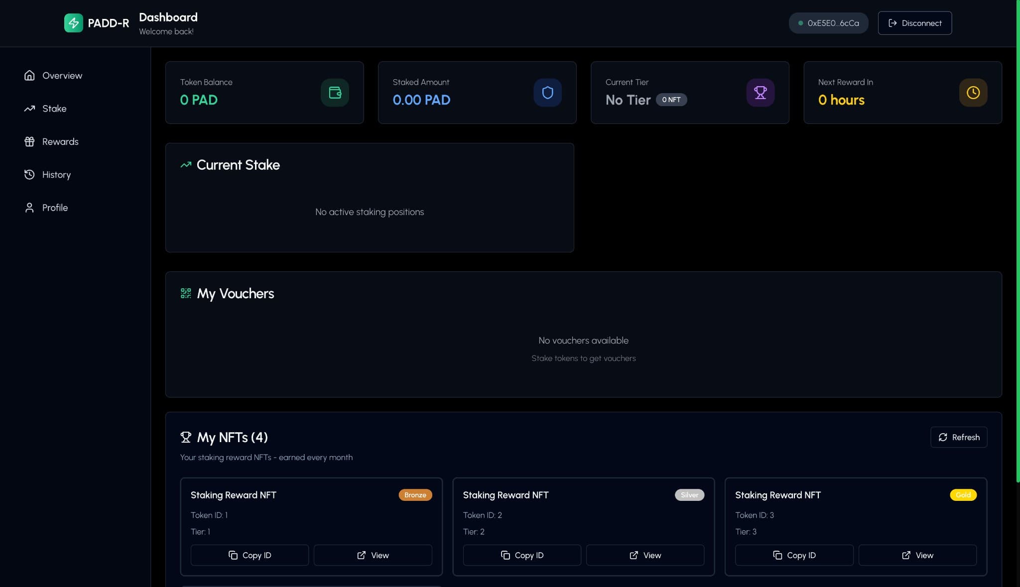 Dashboard Overview — Token Balance, Staked Amount, Current Tier, NFTs